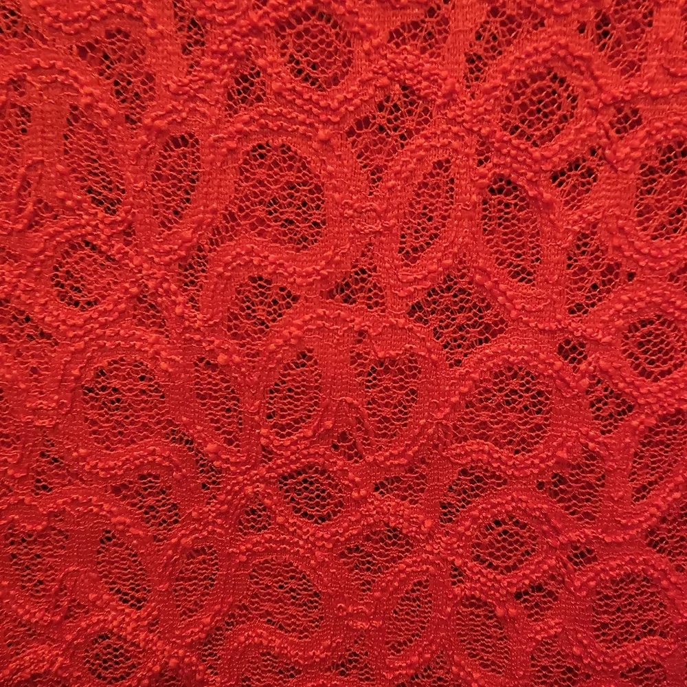 Lane Bryant Vibrant Red Lace Semi Sheer Long Sleeve Top - Picture 7 of 7